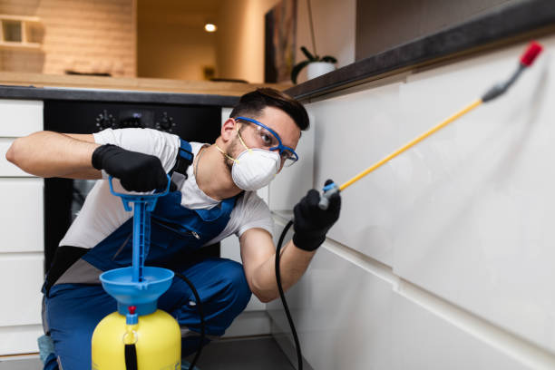 Best Pest Prevention Services  in La Puebla, NM