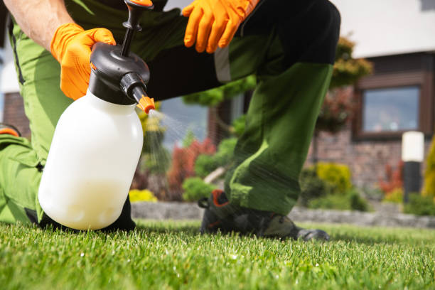 Best Pest Control Treatment  in La Puebla, NM