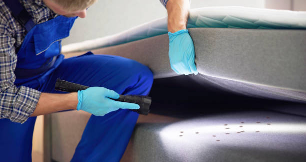 Best Exterminator Services  in La Puebla, NM