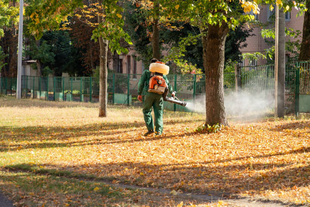 Best Flea Control Services  in La Puebla, NM
