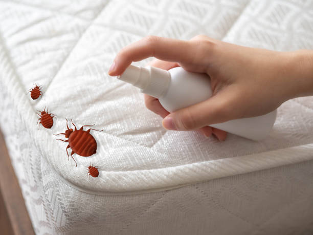 Best Commercial Pest Control Services  in La Puebla, NM