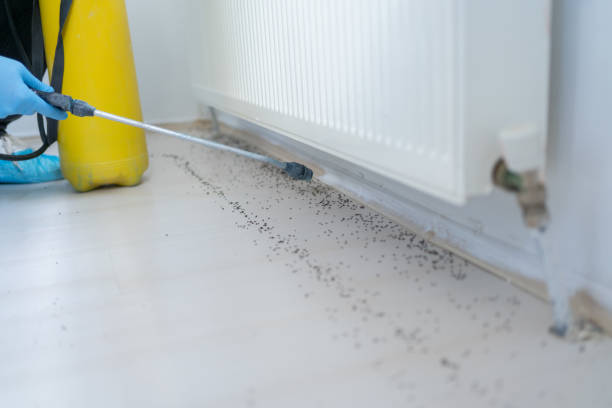 Best Residential Pest Control  in La Puebla, NM