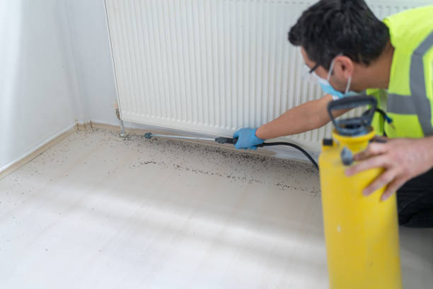 Best Affordable Pest Control Services  in La Puebla, NM