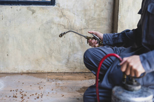Best Affordable Pest Control Services  in La Puebla, NM