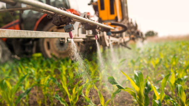 Best Mosquito Control Services  in La Puebla, NM